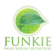 kw brak zdjecia8